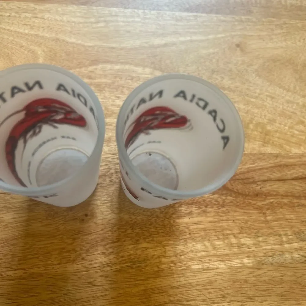 Acadia National Park Frosted Glass Set. Pair of two bar Harbor Maine Lobster bar
